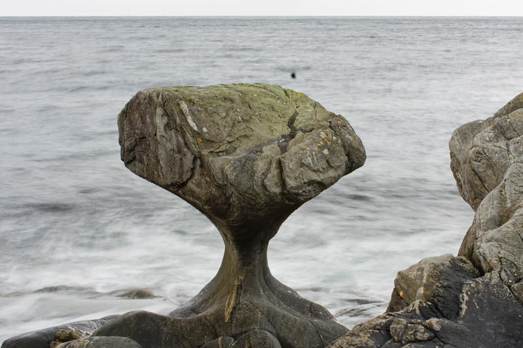IMG_8204.jpg - Das ist der Kanenstein. Ein Fels, der durch das Wasser geformt wurde wie eine Walfinne.
